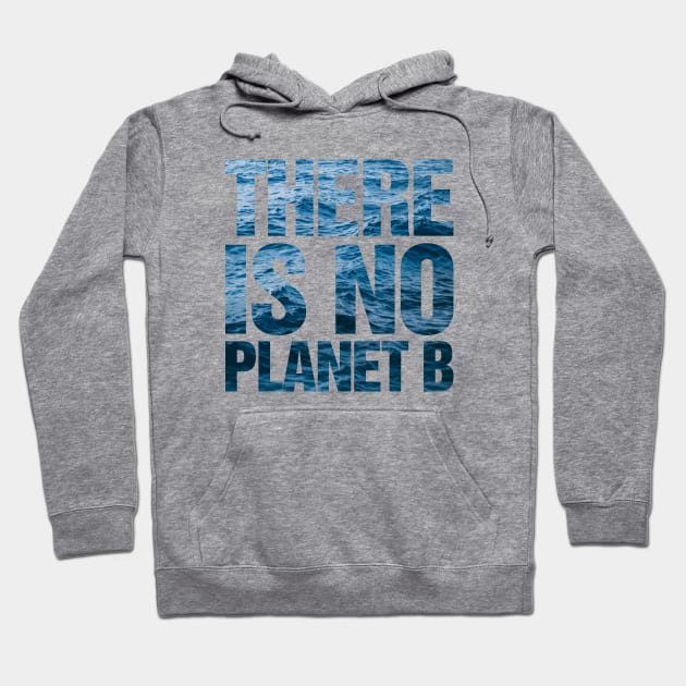 There Is No Planet B Ocean Hoodie by TeeTime